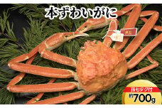 本ずわいがに約700g（孫七タグ付）