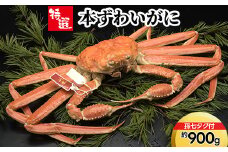 【特選】本ずわいがに約900g（孫七タグ付）