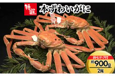 【特選】本ずわいがに約900g×2尾（孫七タグ付き）