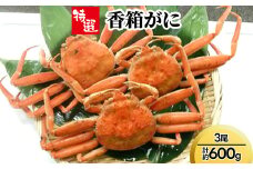 【特選】香箱がに3尾（計約600g）