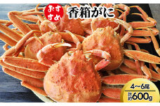 【おすすめ】香箱がに4~6尾（計約600g）