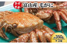 【おすすめ】富山産　毛がに約350g×3尾