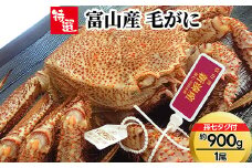 【特選】富山産　毛がに約900g×1尾（孫七タグ付き）