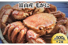 富山産　毛がに約500g×2尾