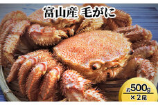 富山産　毛がに約500g×2尾 ※2025年11月中旬～2026年3月中旬頃に順次発送予定