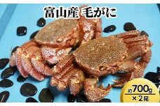 富山産　毛がに約700g ×2尾 ※2025年11月中旬～2026年3月中旬頃に順次発送予定