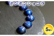 チョコレート ショコラ5個入/パティスリーサクライ/菓子 チョコ ショコラ お酒 ウイスキー 北陸 /富山県射水市