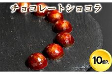 チョコレート ショコラ10個入/パティスリーサクライ/菓子 チョコ ショコラ お酒 ウイスキー 北陸 /富山県射水市