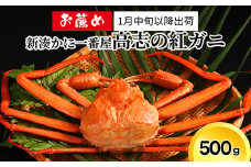 【1月中旬以降出荷】新湊かに一番屋【お薦め】高志の紅ガニ500g ズワイガニ 紅ずわいがに カニ 蟹 富山県 射水市