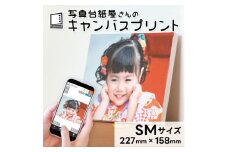 キャンバスプリント SMサイズ フォト 写真 パネル オーダー 印刷 アート ファブリックパネル インテリア