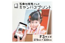 キャンバスプリント F3サイズ フォト 写真 パネル オーダー 印刷 アート ファブリックパネル インテリア
