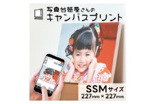 キャンバスプリント SSMサイズ フォト 写真 パネル オーダー 印刷 アート ファブリックパネル インテリア