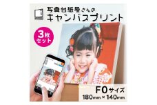キャンバスプリント F0サイズ 3枚セット フォト 写真 パネル オーダー 印刷 アート ファブリックパネル インテリア