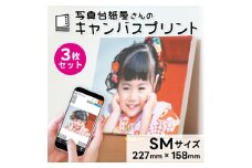 キャンバスプリント SMサイズ 3枚セット フォト 写真 パネル オーダー 印刷 アート ファブリックパネル インテリア