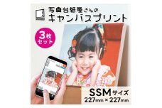 キャンバスプリント SSMサイズ 3枚セット フォト 写真 パネル オーダー 印刷 アート ファブリックパネル インテリア