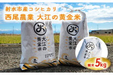 R7年度米 大江の黄金米 コシヒカリ5kg ｜ 射水市 西尾農業 黄金米 射水の美味しいお米 精米 ※離島への配送不可 ※2025年10月上旬~10月下旬頃に順次発送予定