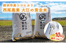 R7年度米 大江の黄金米 コシヒカリ10kg（5kg×2） ｜ 射水市 西尾農業 黄金米 射水の美味しいお米 精米 ※離島への配送不可 ※2025年10月上旬~10月下旬頃に順次発送予定
