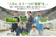 【射水市】【農業】【体験】スプラウト農家（豆苗、カイワレ、ブロッコリースプラウト）オーナー権