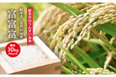 【R7年度産米 新米予約】[人気のブランド米] 富富富「若竹のお米 」　10kg（5kg×2）【精米】｜米 新米 先行予約 令和7年産米 ブランド米 銘柄米 こめ 白米 先行予約 送料無料 富山県 射水市