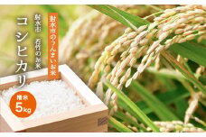 【R7年度産米 新米予約】 [選べる人気のブランド米]コシヒカリ「若竹のお米 」　5kg 【精米】｜米 新米 先行予約 令和7年産米 ブランド米 銘柄米 こめ 白米 先行予約 送料無料 富山県 射水市