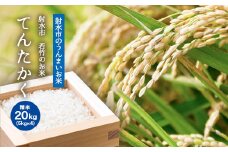 【R7年度産米 新米予約】[人気のブランド米]てんたかく 「若竹のお米 」　20kg（5kg×4）【精米】｜米 新米 先行予約 令和7年産米 ブランド米 銘柄米 こめ 白米 先行予約 送料無料 富山県 射水市