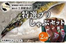 【射水市】【射水のおいしい海鮮】【新湊産】特選 ブリしゃぶセット 2人前 ※2025年12月上旬～2026年2月下旬頃に順次発送予定 ※北陸・関東・中部・近畿地方以外への配送不可