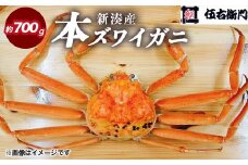 【伍右衛門】新湊産本ズワイガニ約700g｜海の幸 海鮮 お祝い 集まり メニュー 冬の味覚 茹でたて 新鮮 国産 富山県産 ※離島への配送不可 ※2025年11月上旬～2026年3月中旬頃 ※発送まで1か月以上かかる場合があります。
