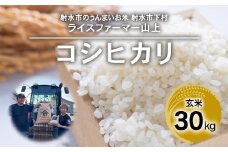 【射水市】【ライスファーマー山上】【農家直送】【射水の美味しいお米】R7年産コシヒカリ30kg【玄米】 ※離島への配送不可 ※2025年9月下旬～10月中旬頃に順次発送予定