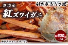 紅ズワイガニ 約600g×2尾【安吉水産】｜ずわい蟹 ずわいガニ ズワイガニ 紅ズワイガニ ※離島への配送不可 ※2025年9月中旬～2026年3月下旬頃に順次発送予定 ※発送まで1か月以上かかる場合があります。