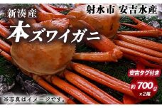 【おすすめ】本ズワイガニ 約700g×2尾（安吉タグ付き）【安吉水産】｜蟹 カニ ※離島への配送不可 ※2025年11月上旬～2026年3月中旬頃に順次発送予定 ※発送まで1か月以上かかる場合があります。