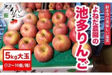 【射水のおいしい果実】【林檎】 よねだ農園の池多りんご サンふじ 5kg大玉（12～16個／箱） ※沖縄・離島への配送不可 ※2025年11月中旬～12月中旬頃に順次発送予定
