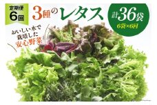 【6回定期便】富山のおいしい水で生産した安心野菜（6袋）[北陸機材 富山県 舟橋村 57050149] 野菜 野菜セット フラワーリーフ フリルレタス マルチレタス 水耕栽培 定期便