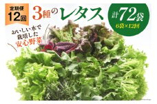 【12回定期便】富山のおいしい水で生産した安心野菜（6袋）[北陸機材 富山県 舟橋村 57050147] 野菜 野菜セット フラワーリーフ フリルレタス マルチレタス 水耕栽培 定期便