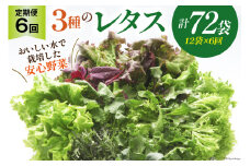 【6回定期便】富山のおいしい水で生産した安心野菜（12袋）[北陸機材 富山県 舟橋村 57050148] 野菜 野菜セット フラワーリーフ フリルレタス マルチレタス 水耕栽培 定期便