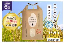 【6ヶ月定期便】【一等米100％】ばんどり米（コシヒカリ）精米 20kg（5kg×4袋） [農事組合法人東和 富山県 舟橋村 57050228]お米 白米 美味しい こしひかり 富山 農家