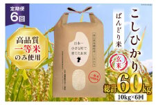 【6ヶ月定期便】【一等米100％】ばんどり米（コシヒカリ）玄米 10kg [農事組合法人東和 富山県 舟橋村 57050230]お米 美味しい こしひかり 富山 農家