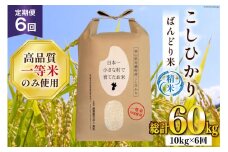 【6ヶ月定期便】【一等米100％】ばんどり米（コシヒカリ）精米 10kg（5kg×2袋） [農事組合法人東和 富山県 舟橋村 57050226] お米 白米 美味しい こしひかり 富山 農家