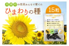 数量限定 観賞用 ひまわりの種 15粒 1袋 [舟橋村役場 富山県 舟橋村 57050189] ひまわり 種 ヒマワリ 向日葵 栽培 家庭菜園