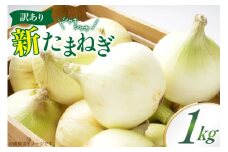 訳あり 新玉ねぎ 1kg [稲生ファーム 富山県 舟橋村 57050220] 玉ねぎ 新たまねぎ タマネギ