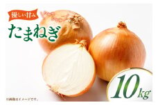 玉ねぎ 10kg [稲生ファーム 富山県 舟橋村 57050217] タマネギ たまねぎ