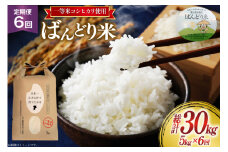 【6ヶ月定期便】【一等米100％】米 令和7年産 ばんどり米（コシヒカリ）精米 5kg 計30kg [農事組合法人東和 富山県 舟橋村 57050215] お米 白米 美味しい こしひかり 富山 農家 令和7年産