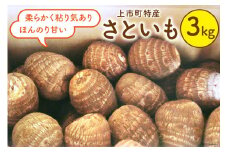 ⑬ 先行予約 上市町産 さといも 3kg [里山の駅 つるぎの味蔵 富山県 上市町 32280010] 里芋 サトイモ 野菜 美味しい 特産品