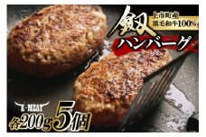 【レンジで温めるだけ】上市町産黒毛和牛「劔」100％使用したハンバーグ 200g×5個 [K・MEAT 富山県 上市町 32280048] ハンバーグ 美味しい 黒毛和牛 冷凍 レンジ 温めるだけ