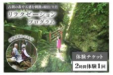 トコトコ森林浴＠眼目/大岩 リラクゼーションプログラム 2時間 / エコツアー トコトコ / 富山県 上市町 [32280125] 体験 チケット 利用券 旅行 観光 ガイド付き アウトドア 自然体験 森林セラピー 座禅
