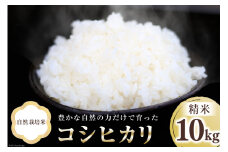 米 富山県産 自然栽培米 コシヒカリ 精米 10kg×1袋  [3ways 富山県 上市町 32280142] お米 コメ 白米 ご飯 ごはん こしひかり