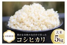 米 富山県産 自然栽培米 コシヒカリ 玄米 5kg×1袋  [ 3ways 富山県 上市町 32280145 ] お米 コメ ご飯 ごはん 玄米ご飯 玄米ごはん こしひかり