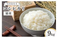 米 上市町西種産  特別栽培米 コシヒカリ 精米 9kg [種農園 富山県 上市町 32280154] お米 コメ ご飯 ごはん こしひかり 富山県産