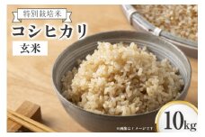 米 上市町西種産  特別栽培米 コシヒカリ 玄米 10kg [種農園 富山県 上市町 32280153] お米 コメ ご飯 ごはん こしひかり 富山県産