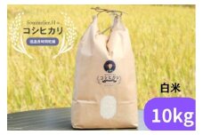 【令和6年産】減農薬 上市町湯神子産コシヒカリ（白米）10kg　 [ソムリエH 富山県 上市町 32280232-r6-04] 　お米 コメ ご飯 ごはん 玄米ご飯 玄米ごはん こしひかり