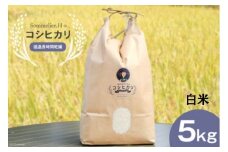 【令和6年産】減農薬 上市町湯神子産コシヒカリ（白米）5kg　 [ソムリエH 富山県 上市町 32280232-r6-02] 　お米 コメ ご飯 ごはん 玄米ご飯 玄米ごはん こしひかり